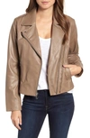 Bernardo Double Zip Leather Jacket In Bark