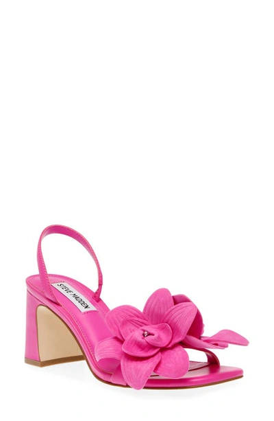 Steve Madden Farrie Sandal In Pink Suede