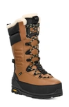 Ugg Shasta Gore-tex® Waterproof Boot In Chestnut