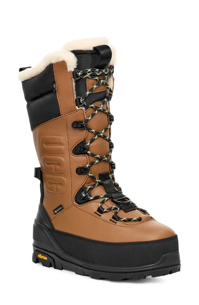 Ugg Shasta Gore-tex Tall Boots In Brown