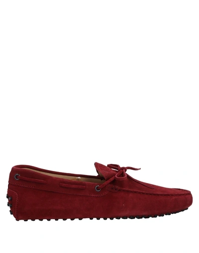 Tod's In Maroon