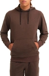 Stance Shelter Hoodie In Dark Brown