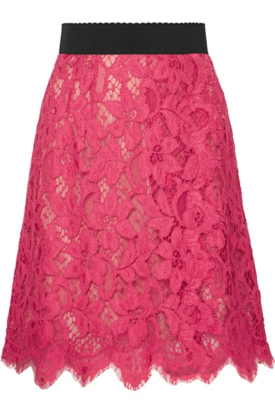 Dolce & Gabbana Guipure Lace Skirt In Pink