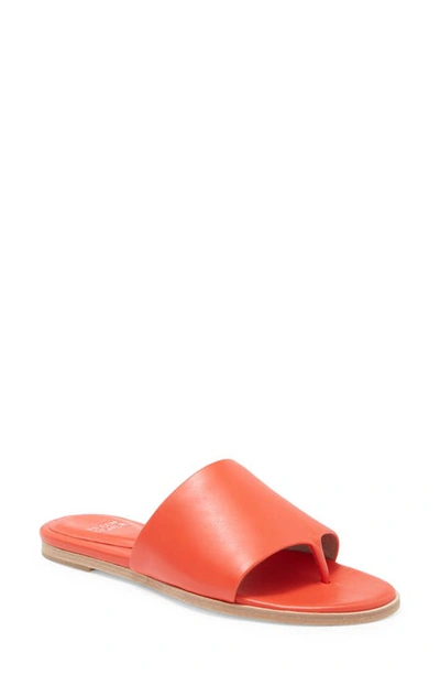 Eileen Fisher Edge Slide Sandal In Red Poppy