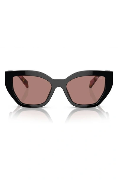 Prada 55mm Butterfly Sunglasses In Lite Brown