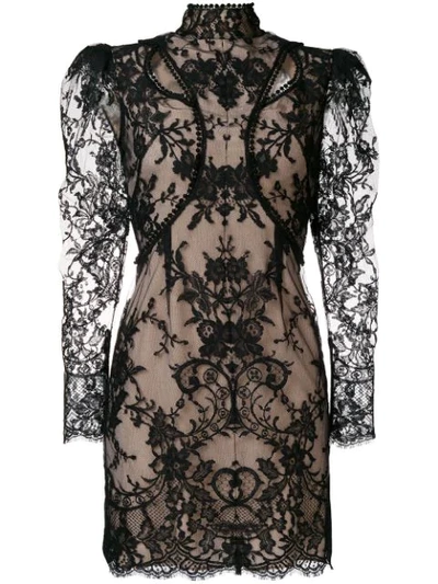 Alexander Mcqueen High-neck Cotton-blend Lace Dress In Black