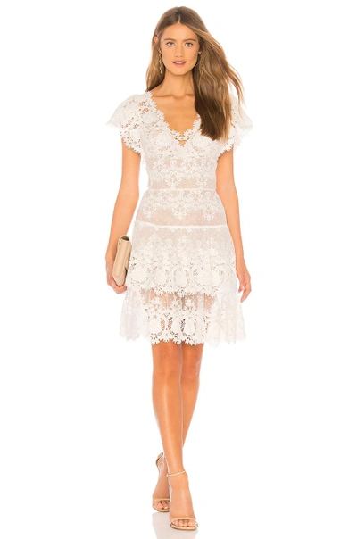 Bronx And Banco Beverly Lace Fit & Flare Dress In White