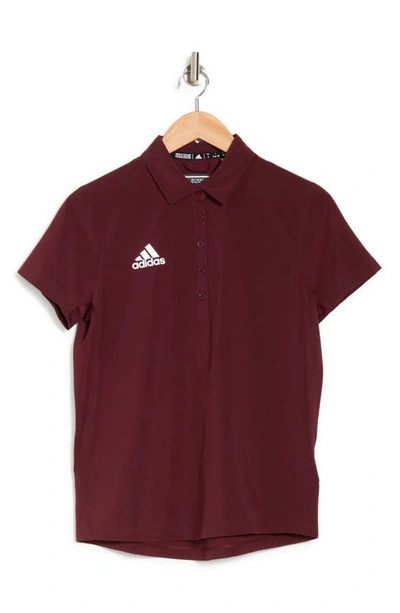 Adidas Originals Stadium Polo In Team Maroon