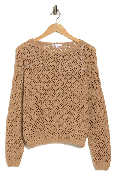 Dr2 By Daniel Rainn Crop Crochet Sweater In Straw