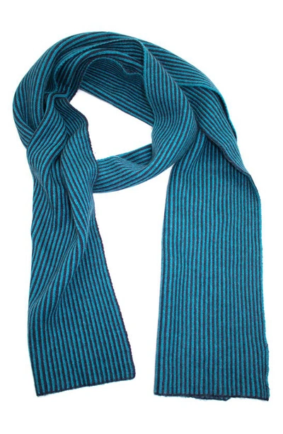 Portolano Stripe Knit Scarf In Blue
