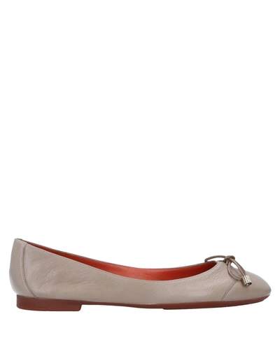 Santoni Ballet Flats In Dove Grey