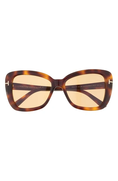 Tom Ford Maeve 55mm Butterfly Sunglasses In Blonde Havana / Brown