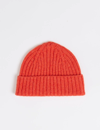 Bhode 2x2 Rib Beanie Hat (lambswool) In Orange