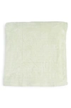 Bcbg Seed Jacquard Throw In Pale Blue