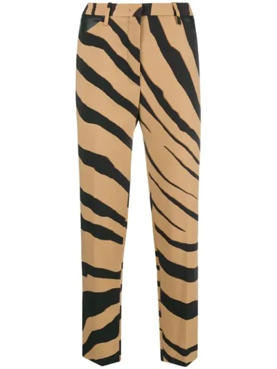 Roberto Cavalli Cropped Zebra Stripe Trousers In Neutrals
