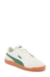 Puma Club 5v5 Sneaker In Vapor Gray-archive Green