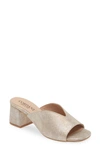 Cordani Pollie Metallic Slide Sandal In Granito Corda