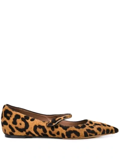 Tabitha Simmons Hermione Leopard-print Calf Hair Point-toe Flats In Neutrals