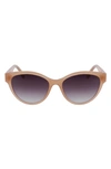 Lacoste 55mm Gradient Cat Eye Sunglasses In Beige