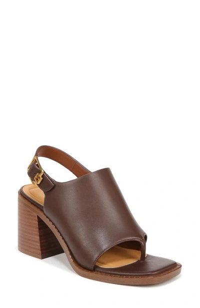 Sarto By Franco Sarto Atlas Slingback Sandal In Brown