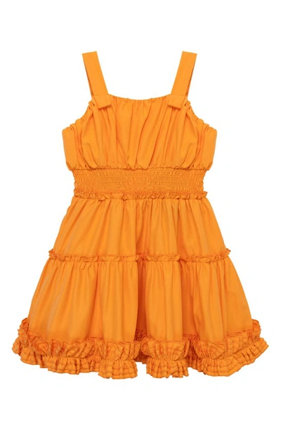 Habitual Kids' Ruffle Smocked Waist Fit & Flare Dress In Orange