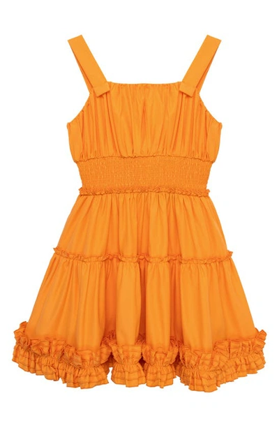 Habitual Kids' Ruffle Smocked Waist Fit & Flare Dress In Orange