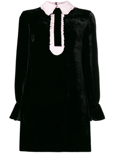 Vivetta Velvet Mini Dress W/ Contrasting Collar In Black