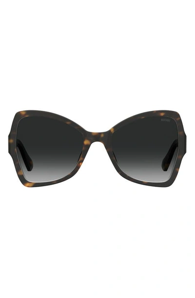 Moschino 54mm Butterfly Sunglasses In Havana/ Grey Shaded