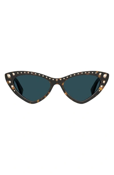 Moschino 53mm Cat Eye Sunglasses In Havana/ Blue Shaded