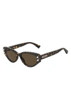 Moschino 55mm Cat Eye Sunglasses In Havana/ Brown