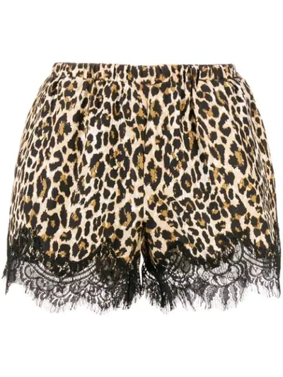 Gold Hawk Leopard Print Shorts - Brown