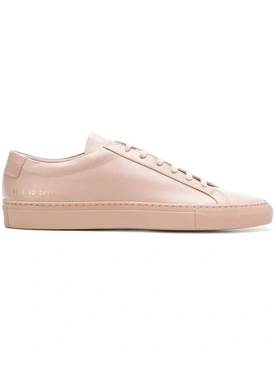 Common Projects Achilles Low Sneakers In Pink