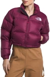 The North Face Nuptse Water Repellent 700 Fill Power Down Short Puffer Jacket In Purple