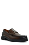 Aldo Tucker Penny Loafer In Other Brown