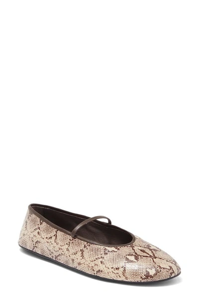 Jeffrey Campbell Dancerina Ballet Flat In Beige/ Brown Snake Print