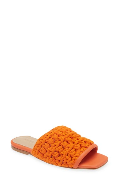 Shekudo Amaro Knit Strap Slide Sandal In Tangerine