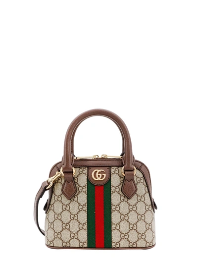 Gucci Handbag In Brown