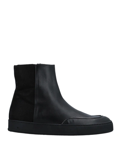 Botticelli Limited Ankle Boots In Black