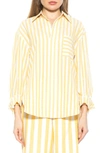 Alexia Admor Tammi Oversize Stripe Boyfriend Button-up Shirt In Yellow Stripe