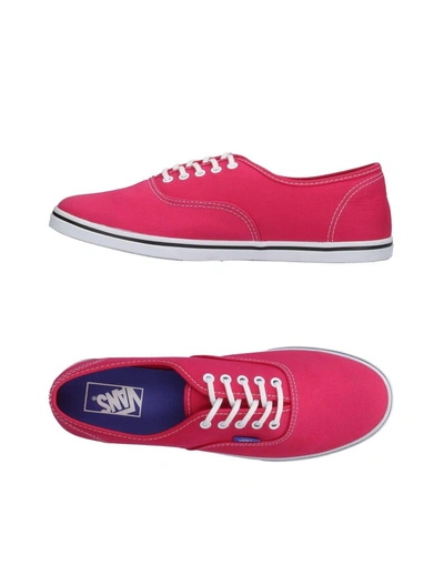 Vans Sneakers In Fuchsia