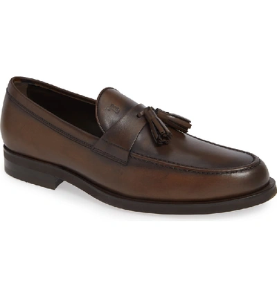 Tod's Moccasino Leather Tassel Loafers In Brown