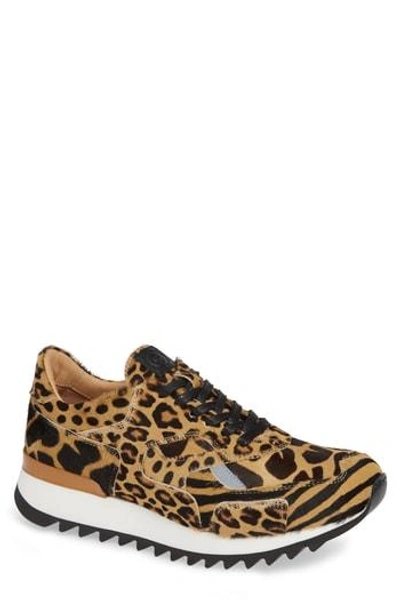 Greats Pronto Genuine Calf Hair Sneaker In Animal Print Calf Hair