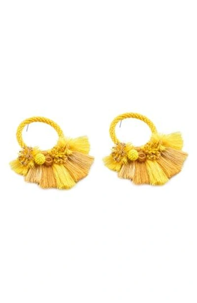 Mishky Medium Cartagena Hoop Earrings In Yellow