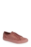 Frye Gia Low Lace-up Sneaker In Dusty Rose Canvas