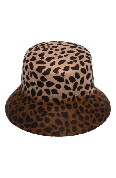 Eugenia Kim Jonah Wool Bucket Hat In Camel/ Brown