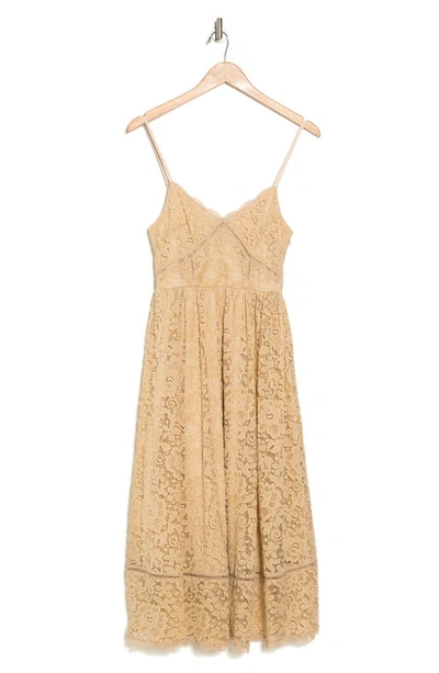 Nsr Crochet Stretch Lace Midi Dress In Beige