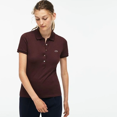 tag på sightseeing Kritik Spole tilbage Lacoste Women's Slim Fit Stretch Mini Cotton Piqué Polo Shirt In Brown |  ModeSens