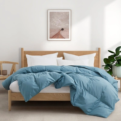 Puredown Goose Feather Down Allseason Comforter Sky Blue