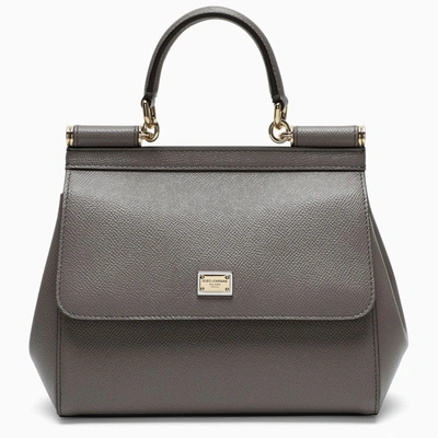 Dolce & Gabbana Taupe Sicily Small Handbag In Brown