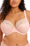 Elomi Lucie Full Figure Underwire Plunge Bra In Pale Blush